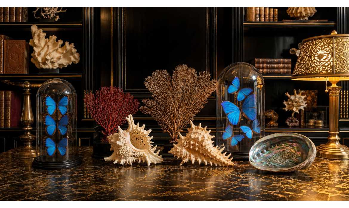 Raretés Naturelles pour Architectes et Designers